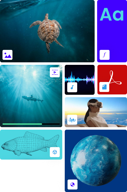 Visualization of different types of digital assets, organized by category